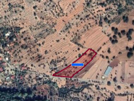 Land For Sale In Seydikemer Bogazici Neighborhood